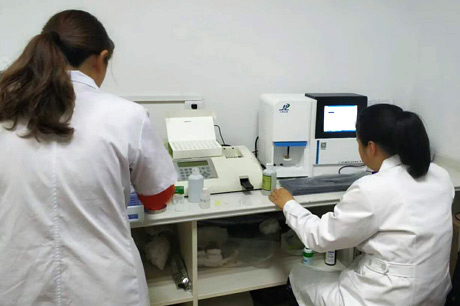 北京新草莓小视频污污操逼生物介紹哪些食物能清熱祛濕？