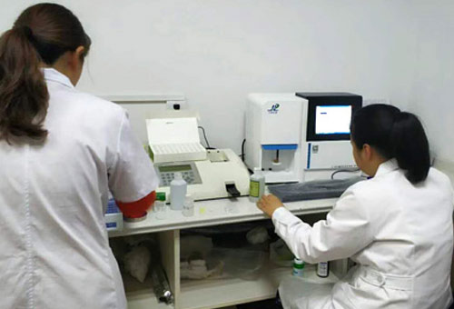 自動草莓影视在线观看檢查設備產品的效果